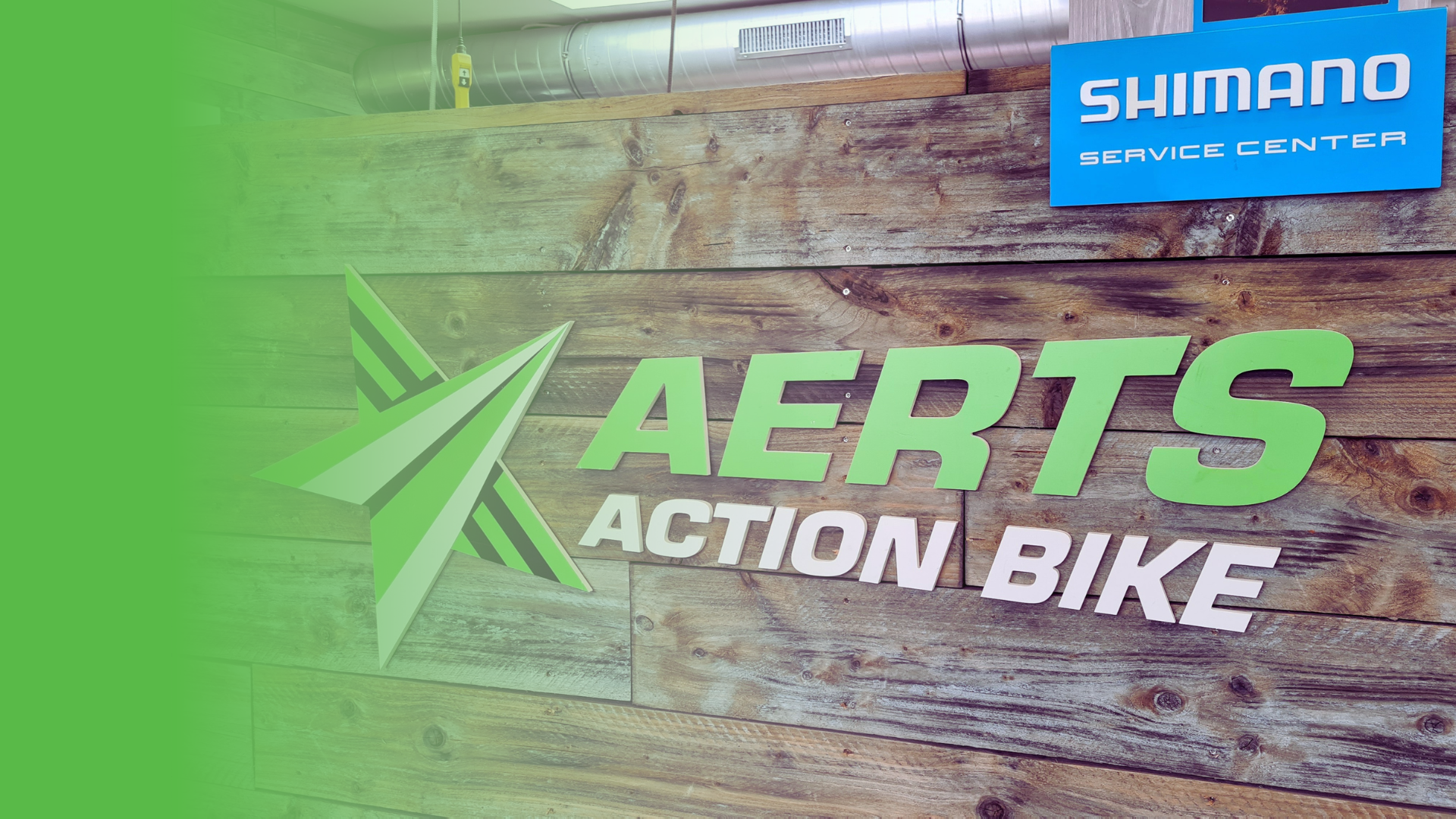 Aerts Action Bike